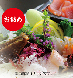 日本海”朝穫れ”「本日の刺身盛り合せ」