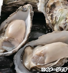 【夏季限定】旬の岩ガキコース <span style="font-size: 0.9em; color: #f00; font-weight: bold;">※要2日前予約</span>